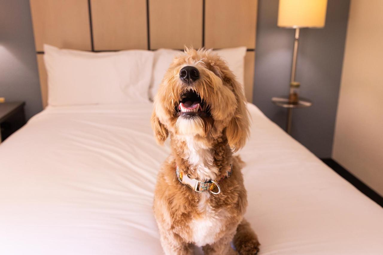 Sonesta Simply Suites Detroit Troy Dış mekan fotoğraf