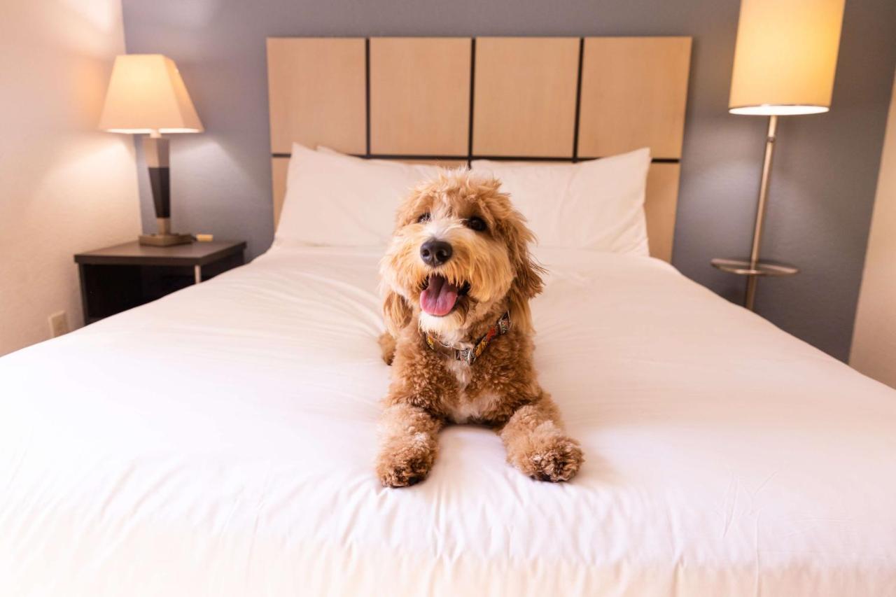 Sonesta Simply Suites Detroit Troy Dış mekan fotoğraf
